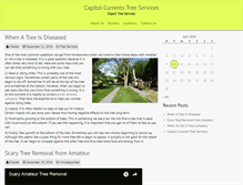 Tablet Screenshot of capitolcurrents.com